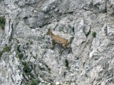 Hochschwab