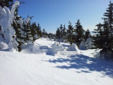 Babia hora