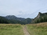 Malolučniak