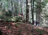 Rumunsko (Fagaraš)