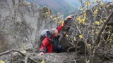 Podskalský Roháč