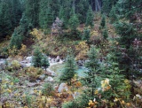 Vysoké Tatry