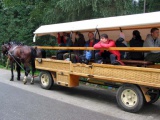 Vysoké Tatry