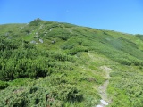 Rumunsko (Fagaraš)