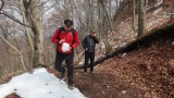 Hoľazne